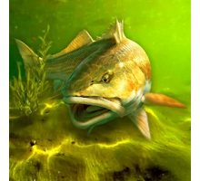 My Fishing World 1.16.27 скачать на телефон (Андроид)