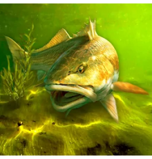 My Fishing World 1.16.27 скачать на телефон (Андроид)