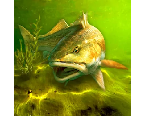 My Fishing World 1.16.27 полная версия на русском