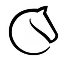 lichess – онлайн шахматы 8.0.0 скачать на телефон (Андроид)