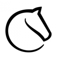 lichess – онлайн шахматы 8.0.0 скачать на телефон (Андроид)